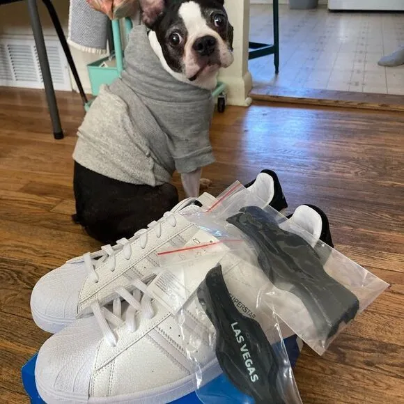 Adidas Originals Superstar City/JetSetter