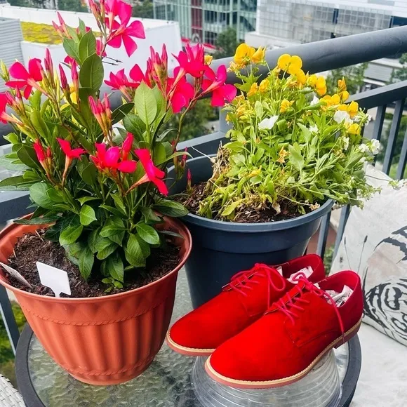 Alberto Fellini Red Dakota Dress Shoe.