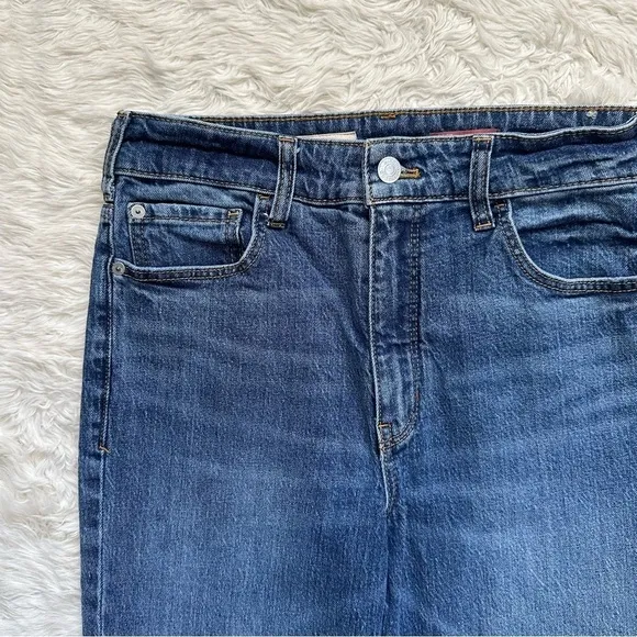 Anthropologie Pilcro Jeans The Vintage Straight High Rise Raw Hems Blue 28