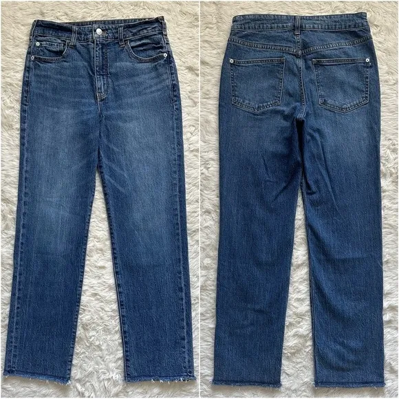 Anthropologie Pilcro Jeans The Vintage Straight High Rise Raw Hems Blue 28