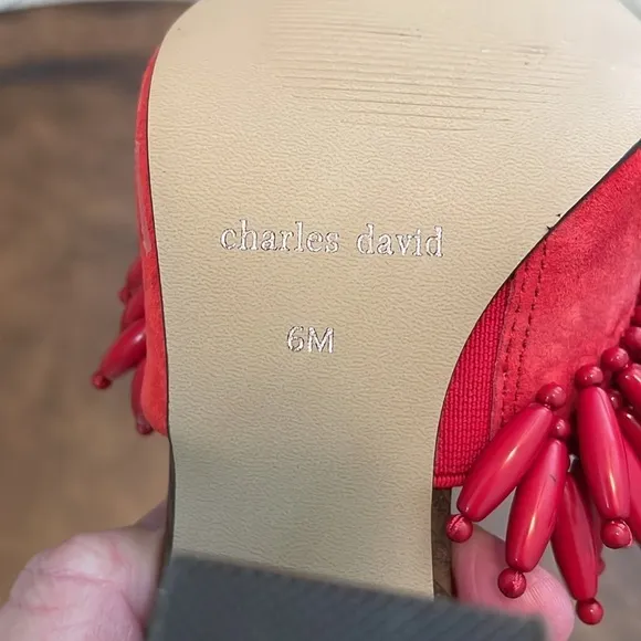 Charles David Women's Red Hottie Block Heel Sandals Size 6 M NEW WITHOUT BOX