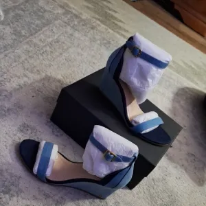 Coach Blue Wedge Sandals