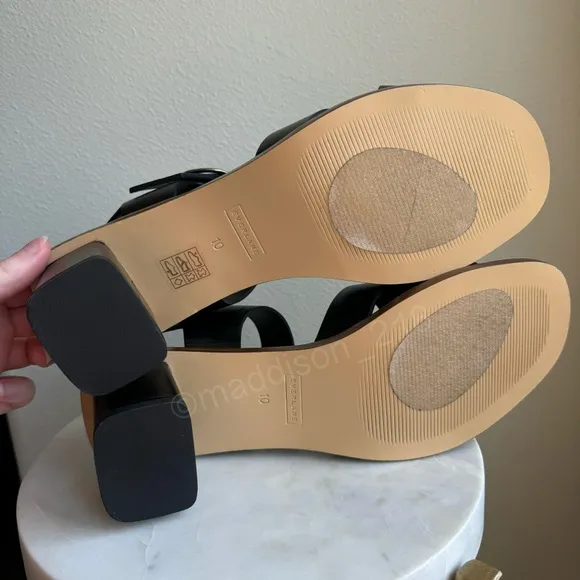 Everlane Leather Buckle Heel Sandals Black size 10 Block Chunky Heel Big Buckle