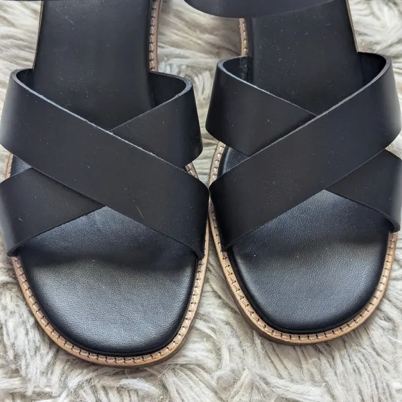 NWOT Everlane The Italian Leather Buckle Heel in Black