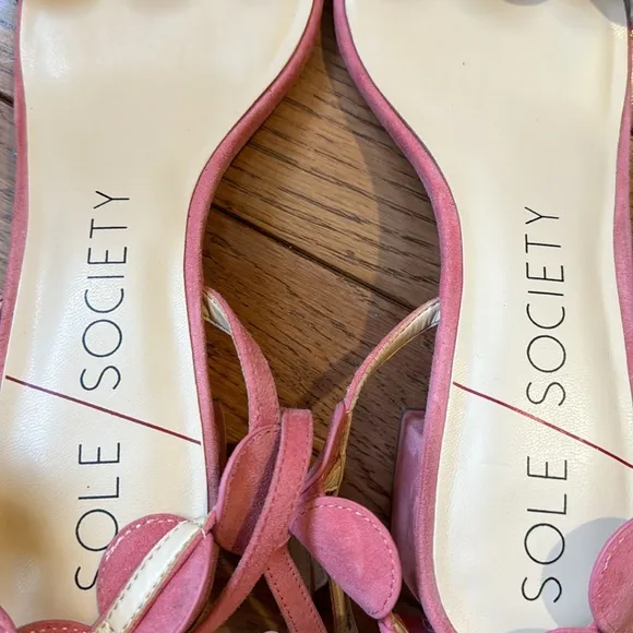 Sole Society Shea Pink Suede Circle Strap Block Heel Sandals